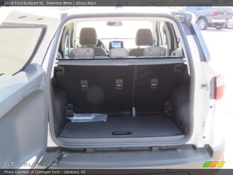 Diamond White / Ebony Black 2018 Ford EcoSport SE
