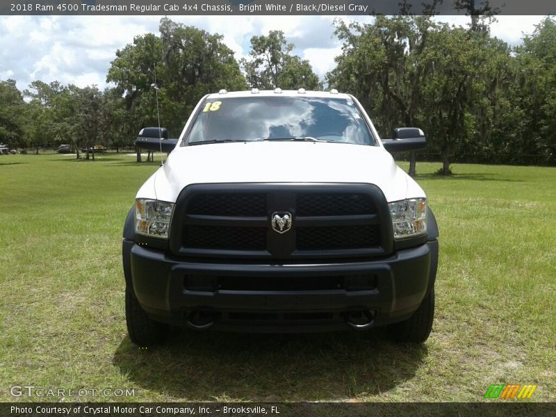 Bright White / Black/Diesel Gray 2018 Ram 4500 Tradesman Regular Cab 4x4 Chassis