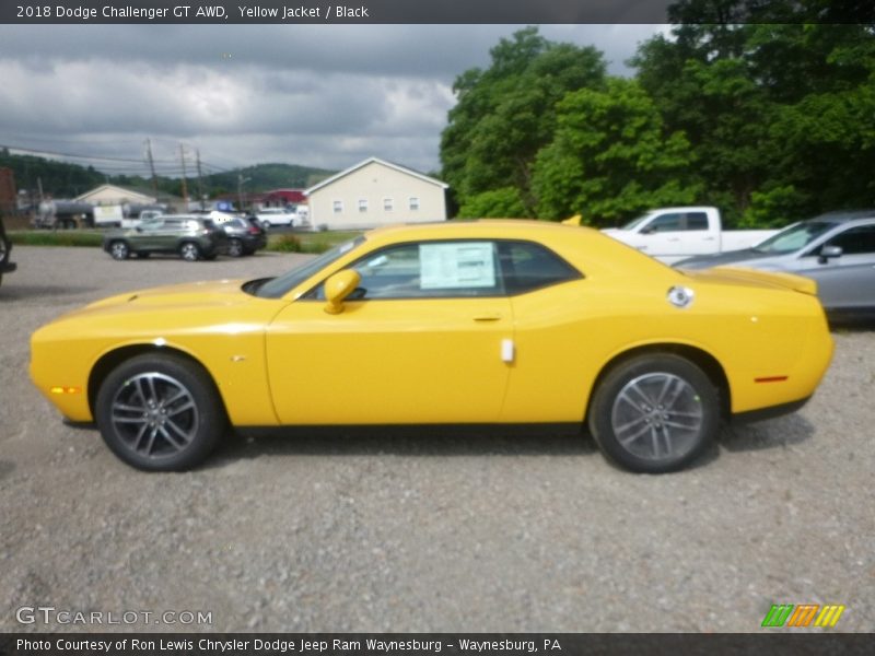 Yellow Jacket / Black 2018 Dodge Challenger GT AWD