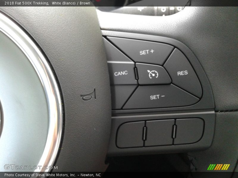 Controls of 2018 500X Trekking