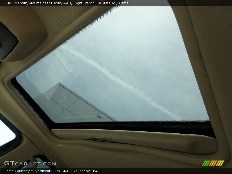 Light French Silk Metallic / Camel 2006 Mercury Mountaineer Luxury AWD