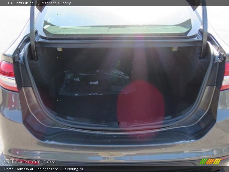 Magnetic / Ebony 2018 Ford Fusion SE