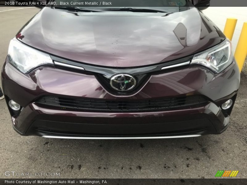 Black Current Metallic / Black 2018 Toyota RAV4 XLE AWD
