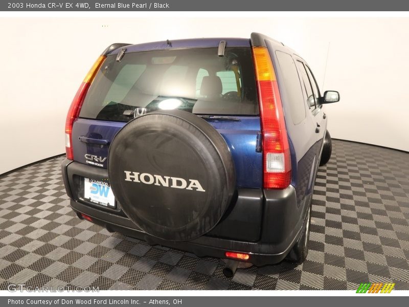 Eternal Blue Pearl / Black 2003 Honda CR-V EX 4WD