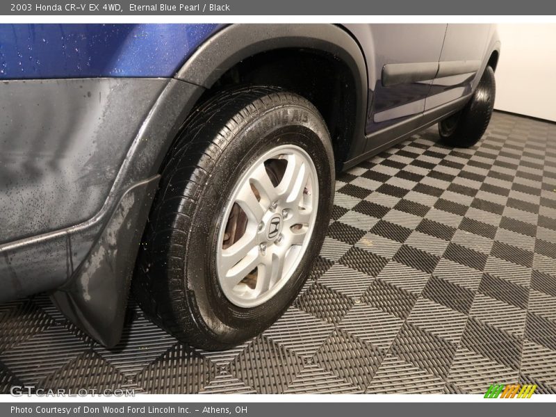 Eternal Blue Pearl / Black 2003 Honda CR-V EX 4WD