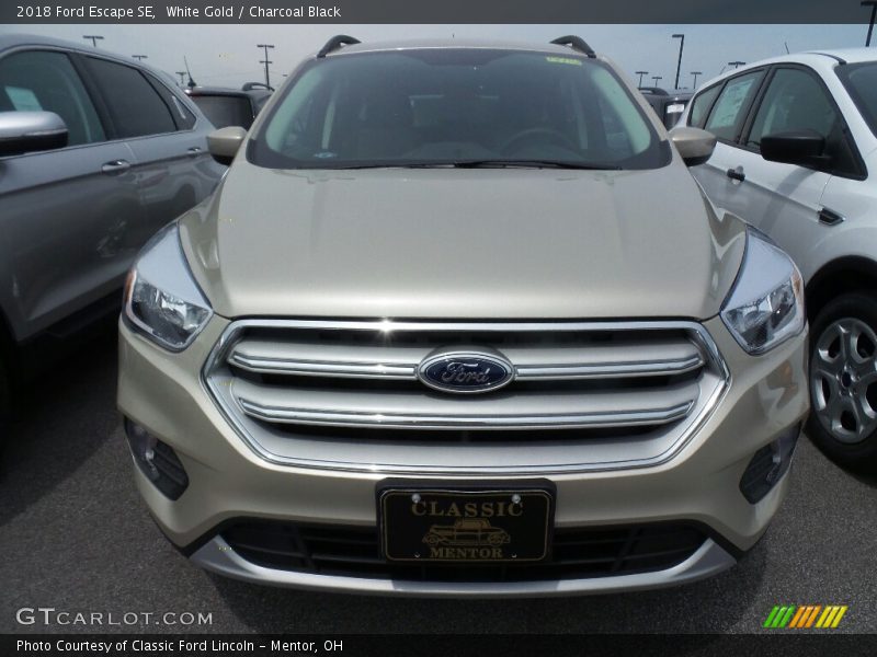 White Gold / Charcoal Black 2018 Ford Escape SE