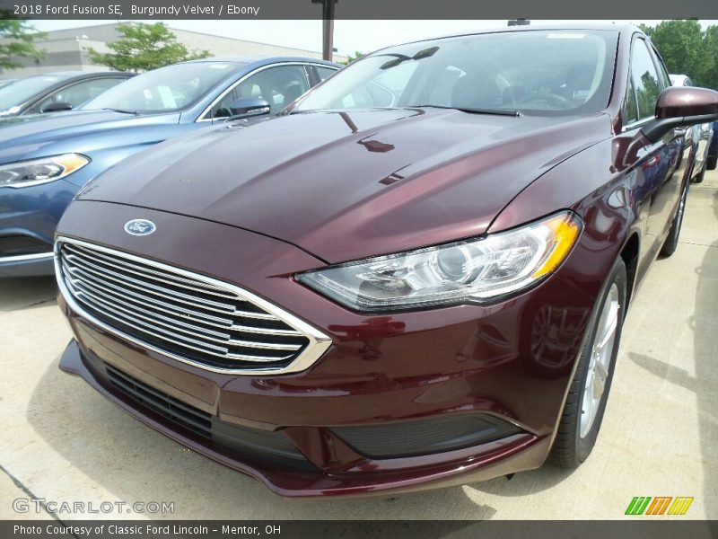 Burgundy Velvet / Ebony 2018 Ford Fusion SE