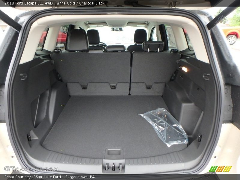 White Gold / Charcoal Black 2018 Ford Escape SEL 4WD
