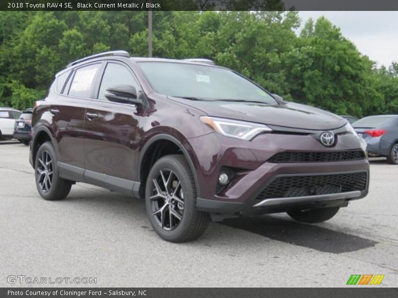 Black Current Metallic / Black 2018 Toyota RAV4 SE