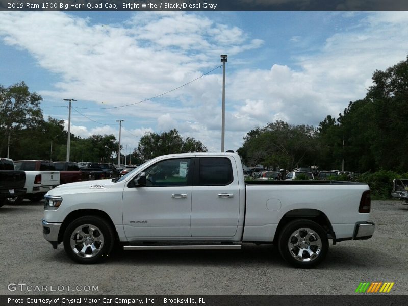 Bright White / Black/Diesel Gray 2019 Ram 1500 Big Horn Quad Cab