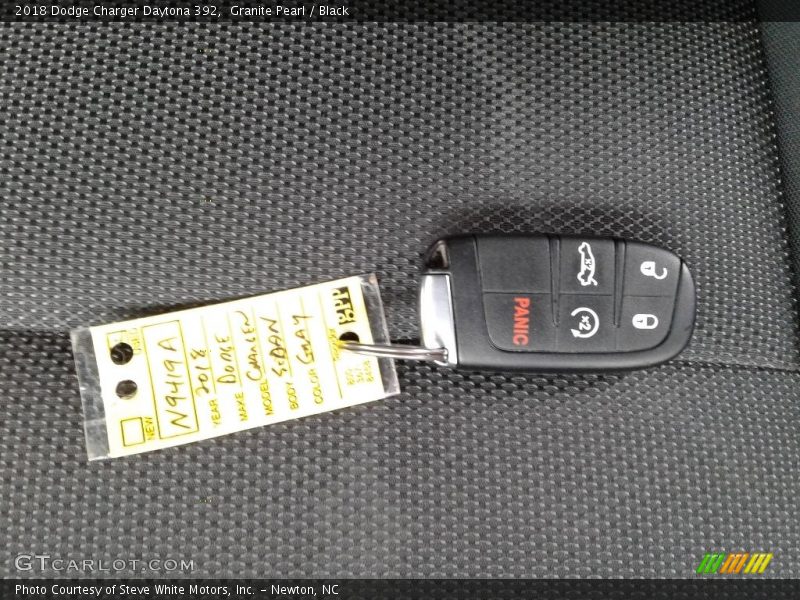 Granite Pearl / Black 2018 Dodge Charger Daytona 392