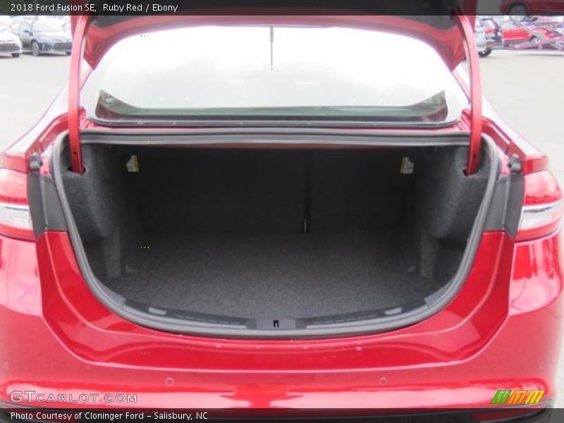 Ruby Red / Ebony 2018 Ford Fusion SE