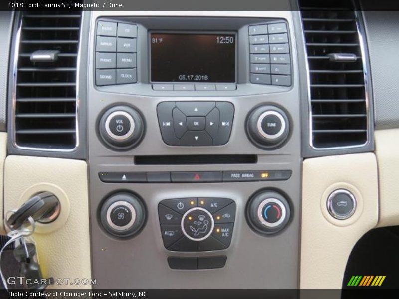 Magnetic / Dune 2018 Ford Taurus SE
