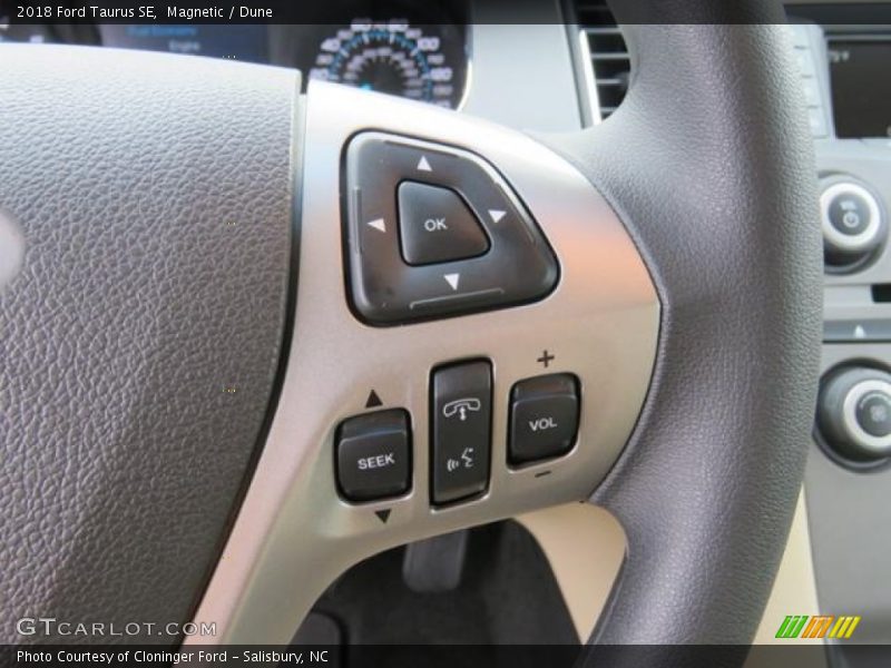Magnetic / Dune 2018 Ford Taurus SE