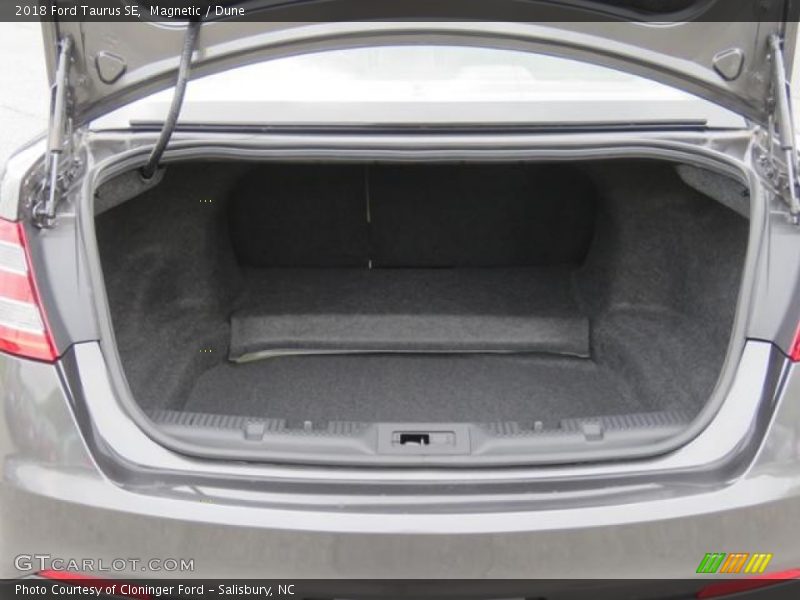 Magnetic / Dune 2018 Ford Taurus SE