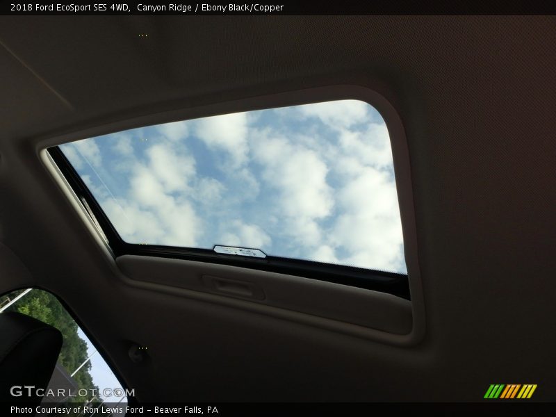 Canyon Ridge / Ebony Black/Copper 2018 Ford EcoSport SES 4WD