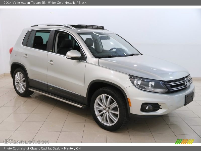 White Gold Metallic / Black 2014 Volkswagen Tiguan SE