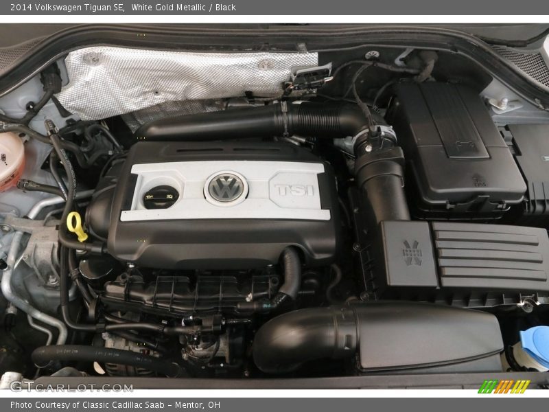 White Gold Metallic / Black 2014 Volkswagen Tiguan SE