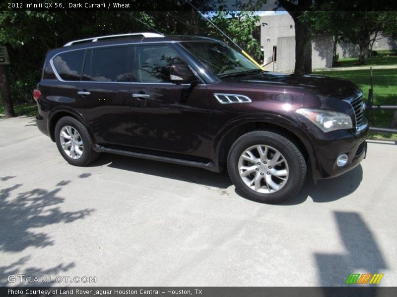 Dark Currant / Wheat 2012 Infiniti QX 56