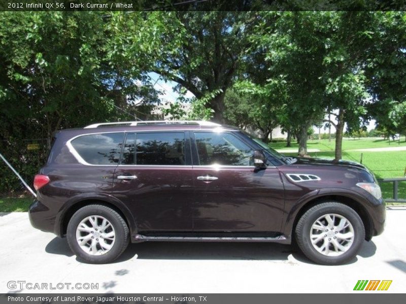 Dark Currant / Wheat 2012 Infiniti QX 56
