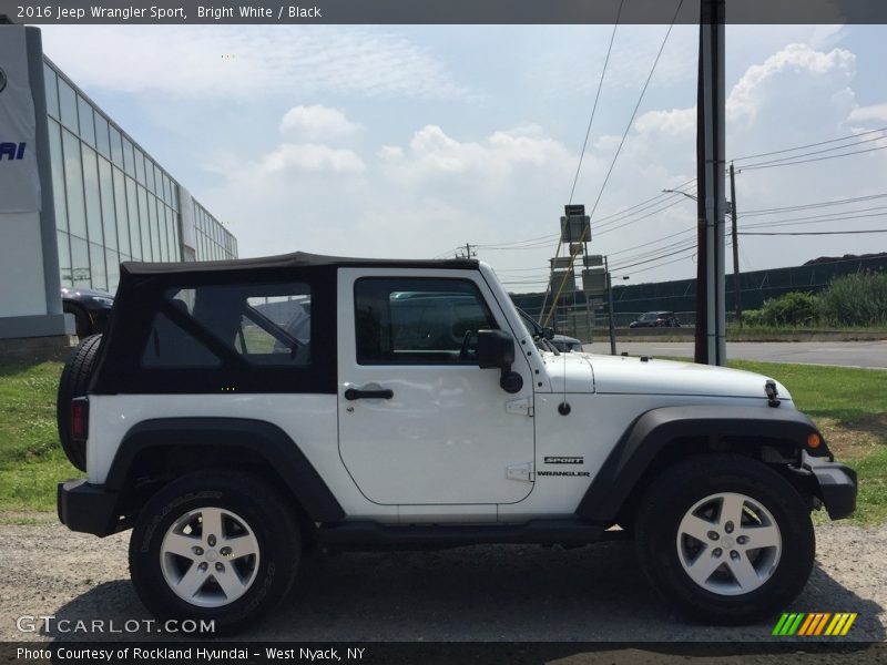 Bright White / Black 2016 Jeep Wrangler Sport