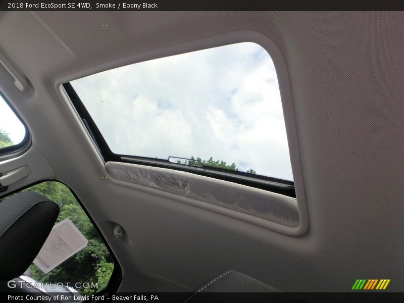 Smoke / Ebony Black 2018 Ford EcoSport SE 4WD