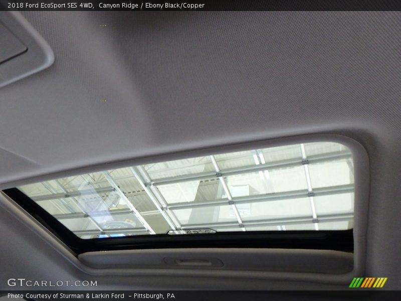 Canyon Ridge / Ebony Black/Copper 2018 Ford EcoSport SES 4WD