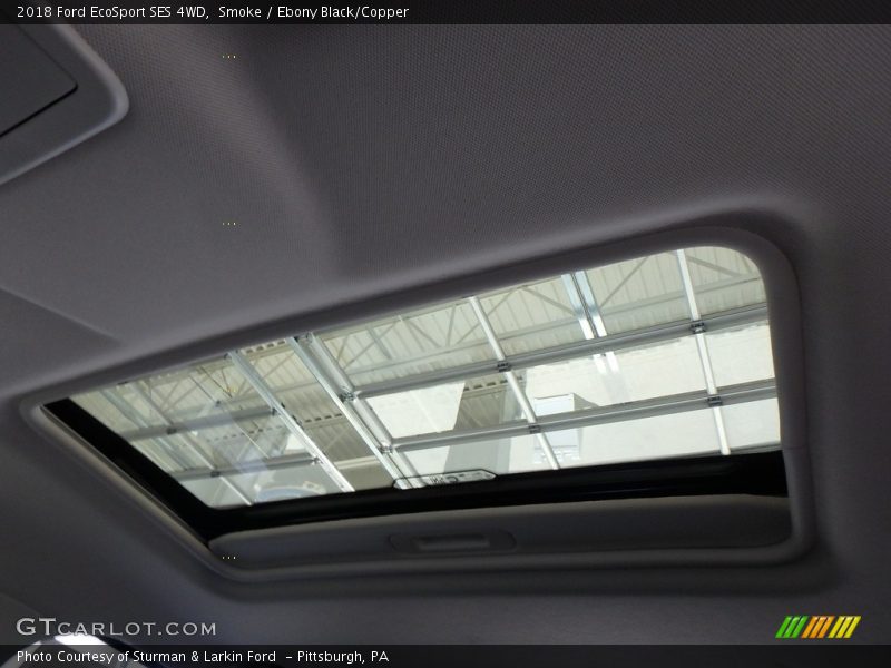 Smoke / Ebony Black/Copper 2018 Ford EcoSport SES 4WD