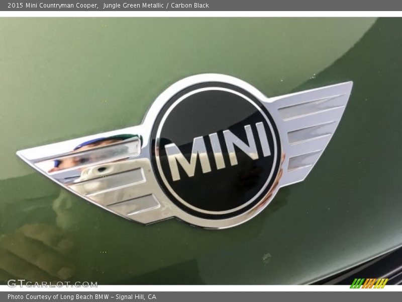 Jungle Green Metallic / Carbon Black 2015 Mini Countryman Cooper
