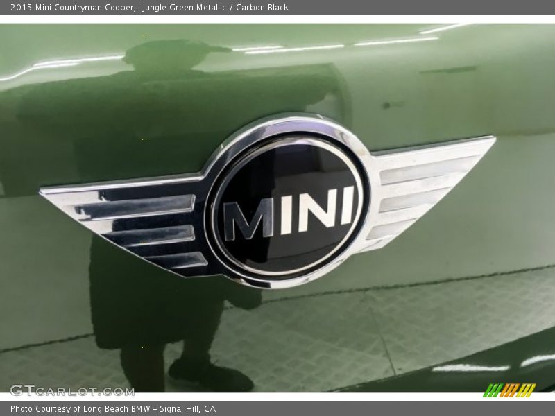 Jungle Green Metallic / Carbon Black 2015 Mini Countryman Cooper