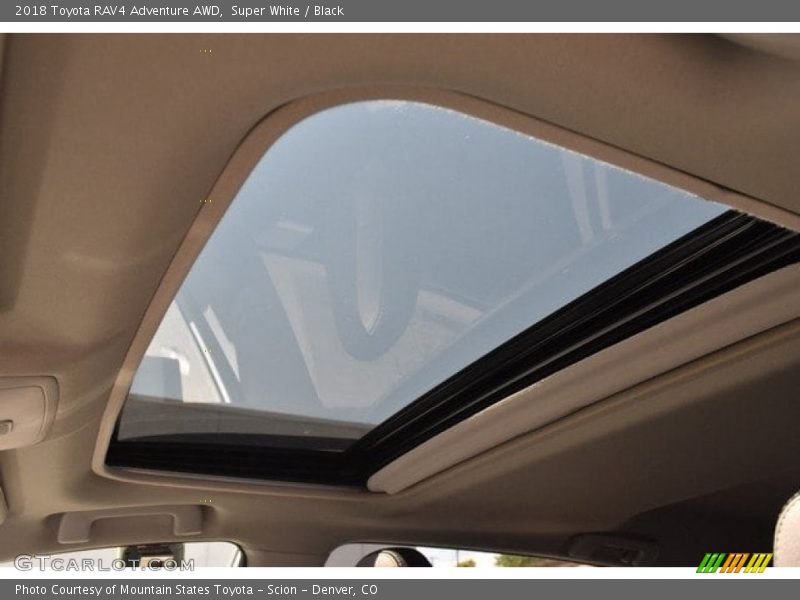 Super White / Black 2018 Toyota RAV4 Adventure AWD