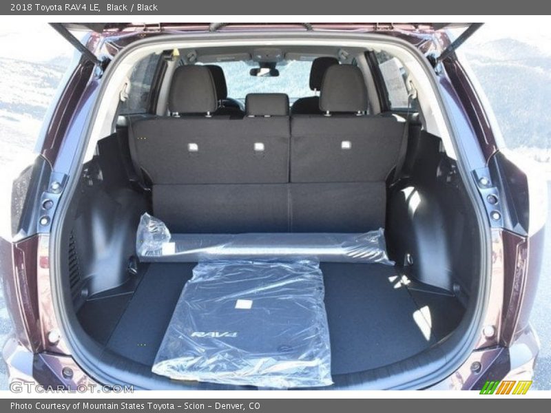 Black / Black 2018 Toyota RAV4 LE
