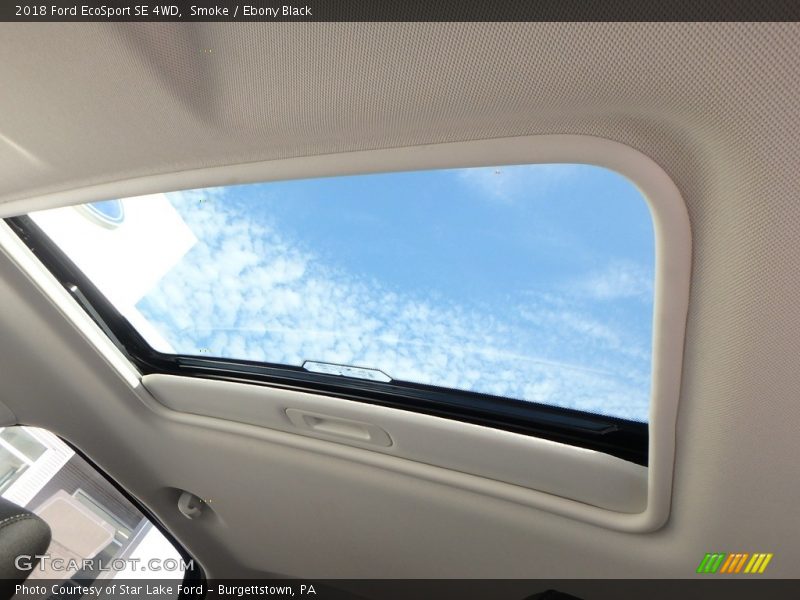 Smoke / Ebony Black 2018 Ford EcoSport SE 4WD