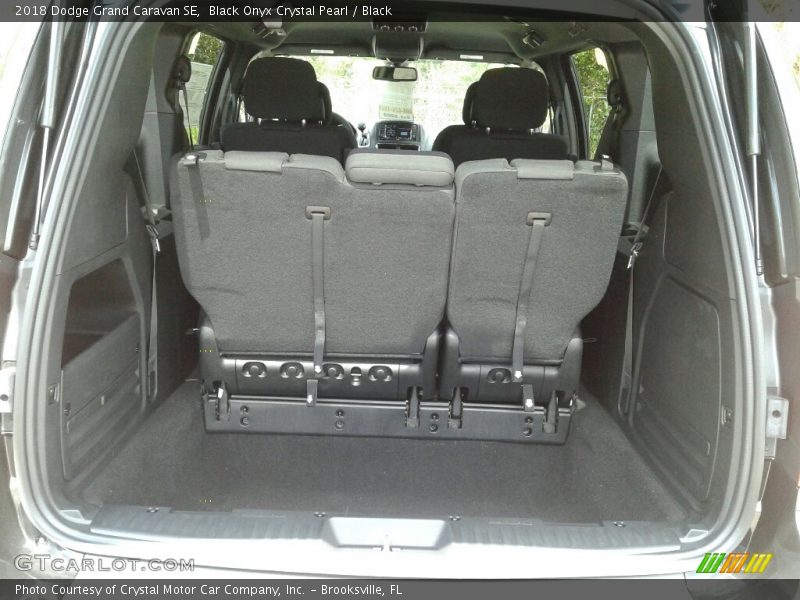 Black Onyx Crystal Pearl / Black 2018 Dodge Grand Caravan SE