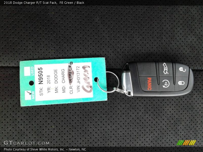 F8 Green / Black 2018 Dodge Charger R/T Scat Pack