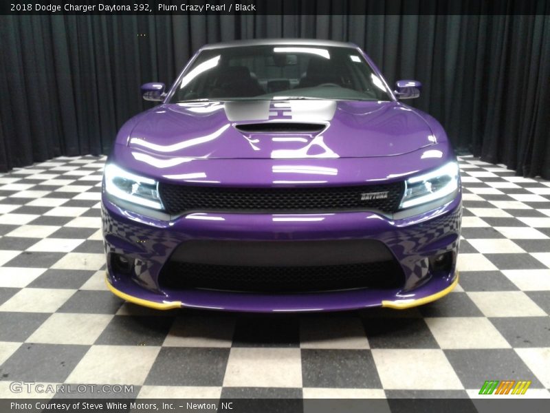Plum Crazy Pearl / Black 2018 Dodge Charger Daytona 392