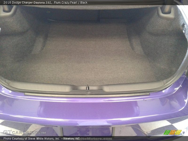 Plum Crazy Pearl / Black 2018 Dodge Charger Daytona 392