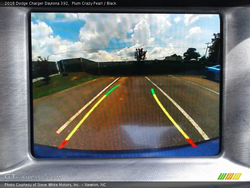 Plum Crazy Pearl / Black 2018 Dodge Charger Daytona 392