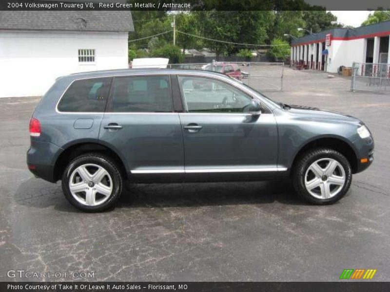 Reed Green Metallic / Anthracite 2004 Volkswagen Touareg V8