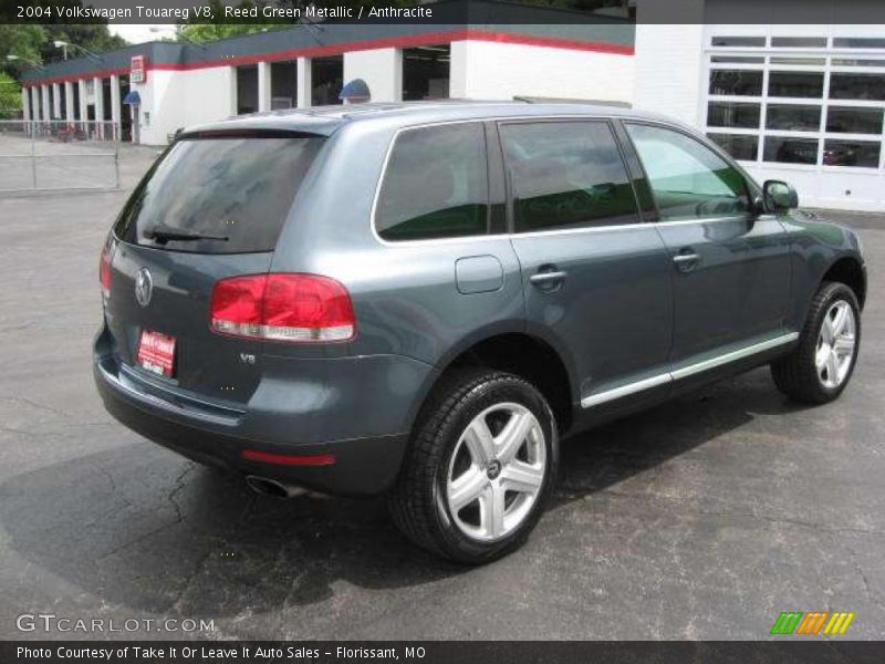 Reed Green Metallic / Anthracite 2004 Volkswagen Touareg V8