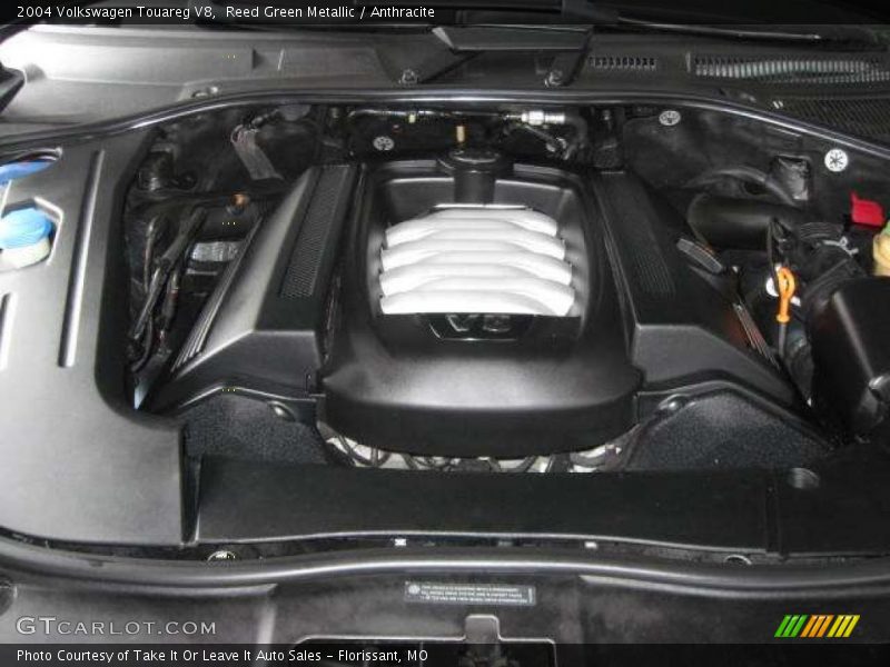 Reed Green Metallic / Anthracite 2004 Volkswagen Touareg V8