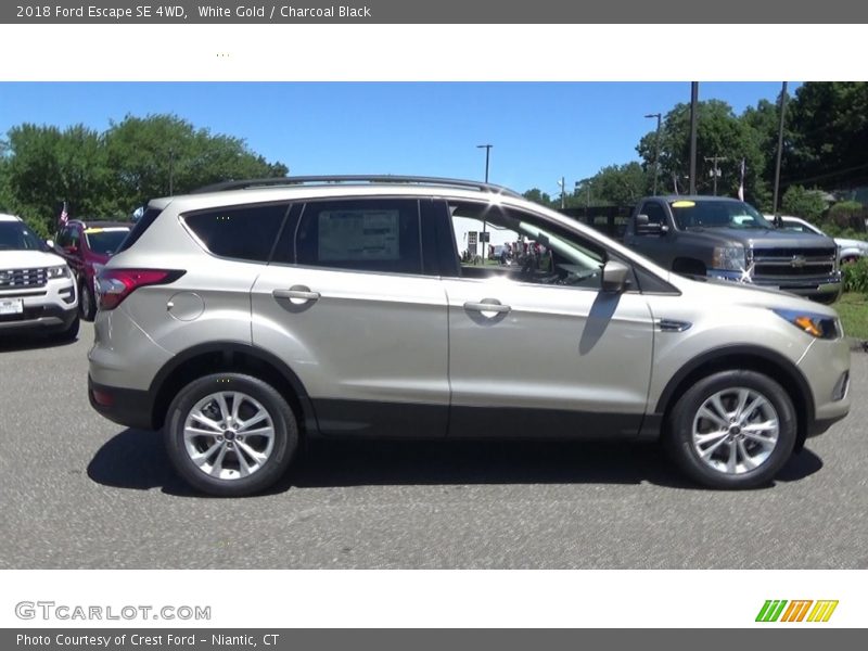 White Gold / Charcoal Black 2018 Ford Escape SE 4WD