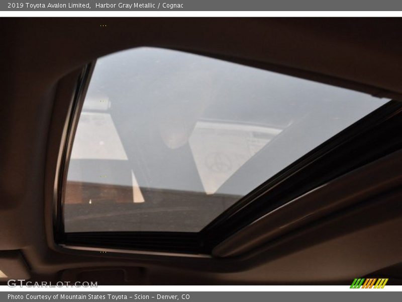 Harbor Gray Metallic / Cognac 2019 Toyota Avalon Limited