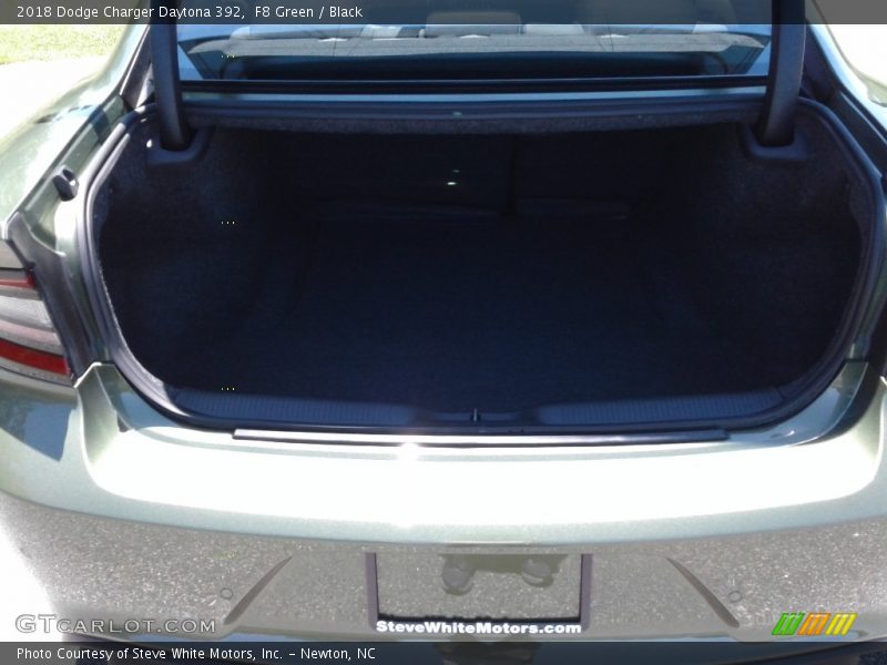 F8 Green / Black 2018 Dodge Charger Daytona 392