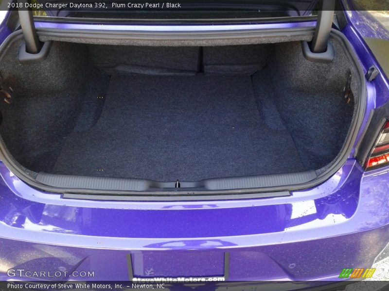 Plum Crazy Pearl / Black 2018 Dodge Charger Daytona 392