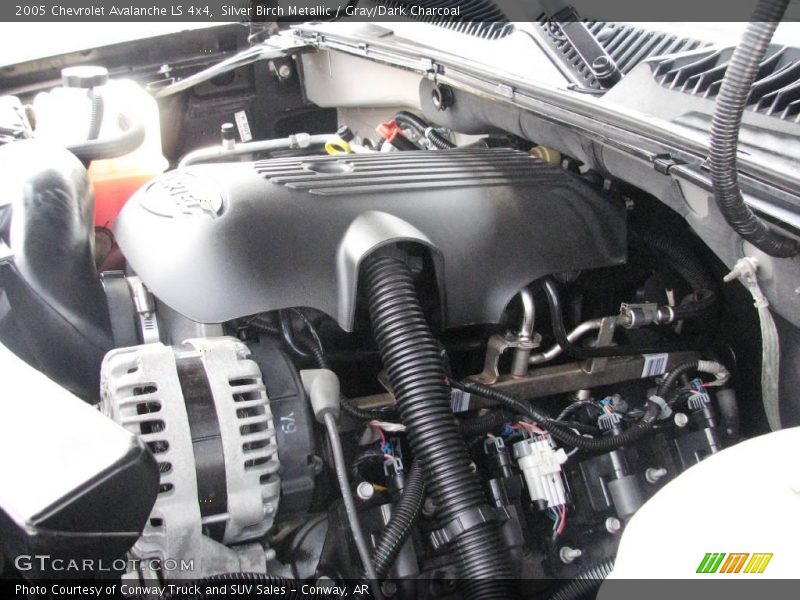 Silver Birch Metallic / Gray/Dark Charcoal 2005 Chevrolet Avalanche LS 4x4