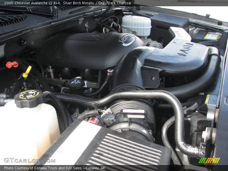 Silver Birch Metallic / Gray/Dark Charcoal 2005 Chevrolet Avalanche LS 4x4
