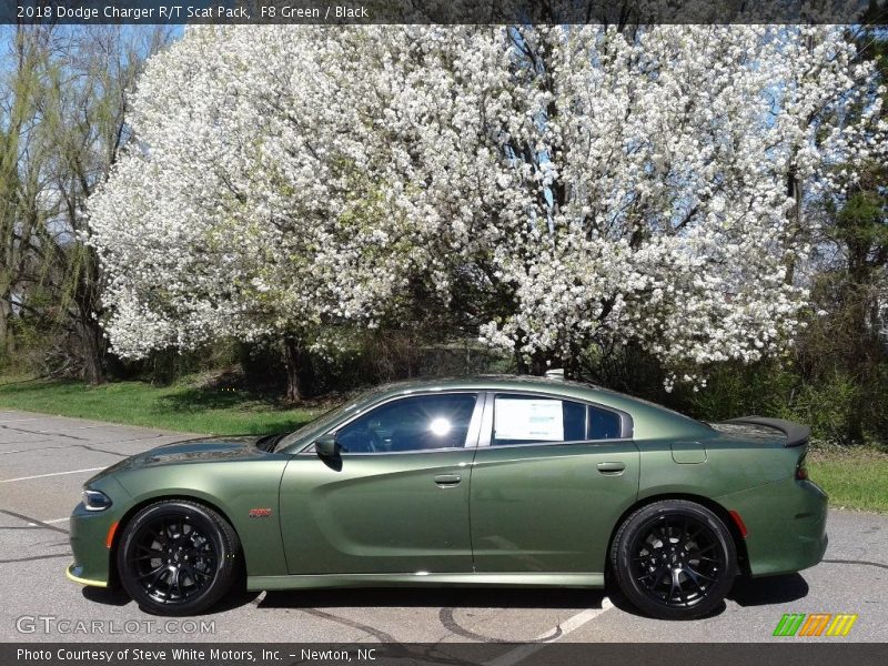 F8 Green / Black 2018 Dodge Charger R/T Scat Pack