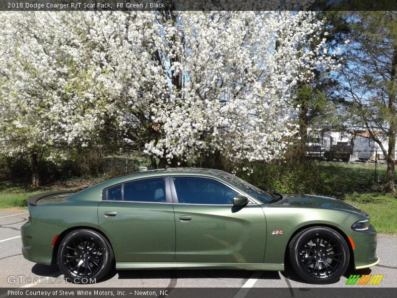 F8 Green / Black 2018 Dodge Charger R/T Scat Pack