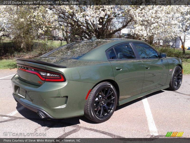 F8 Green / Black 2018 Dodge Charger R/T Scat Pack